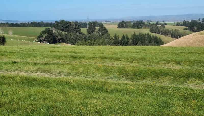  Cameron Road, Hillend, Balclutha