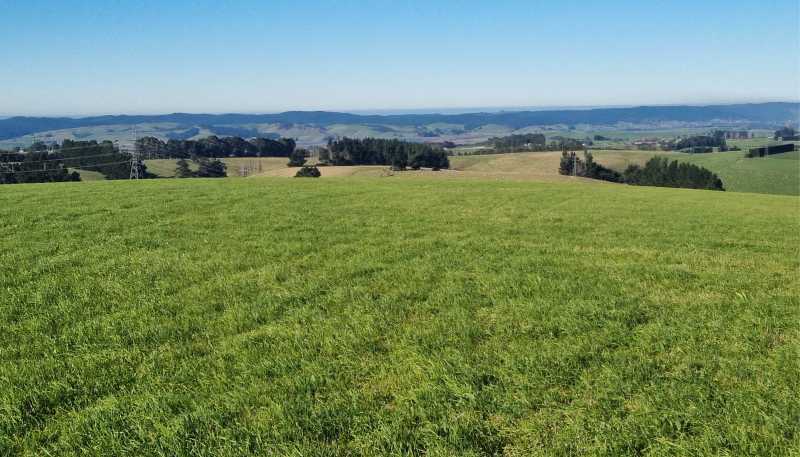  Cameron Road, Hillend, Balclutha
