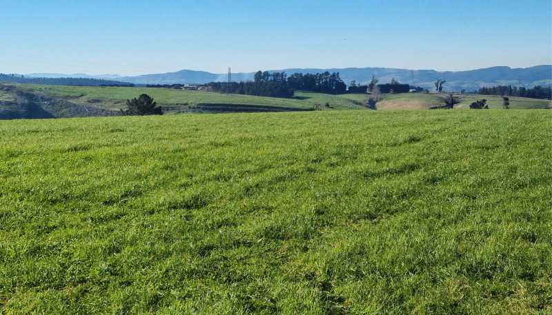  Cameron Road, Hillend, Balclutha