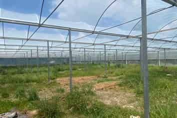 Greenhouse Space for Lease