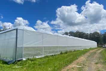 Greenhouse Space for Lease