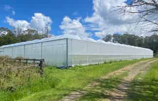 Greenhouse Space for Lease