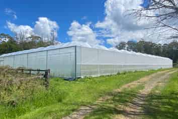 Greenhouse Space for Lease