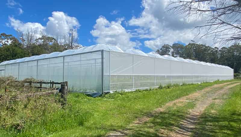 362 Wainui Road, Wainui