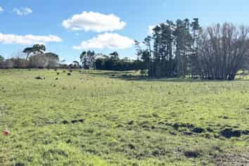 11 Bobs Way, Dairy Flat