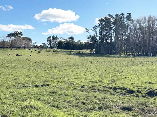 11 Bobs Way, Dairy Flat
