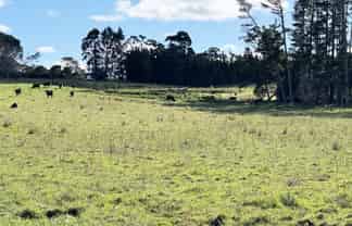 11 Bobs Way, Dairy Flat