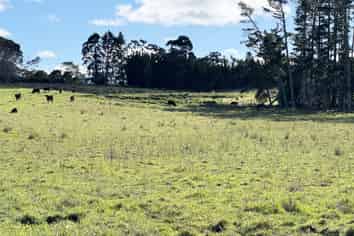 11 Bobs Way, Dairy Flat