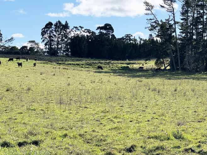 11 Bobs Way, Dairy Flat