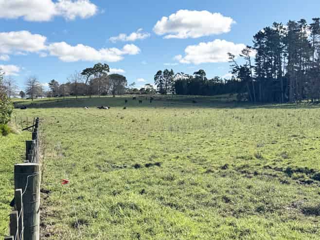 11 Bobs Way, Dairy Flat