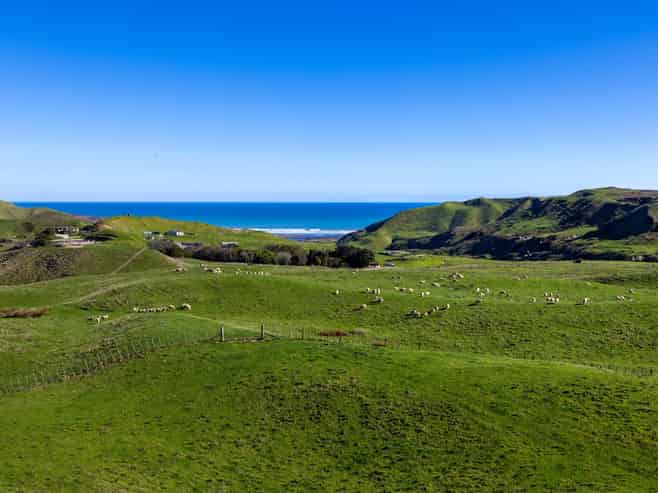 767 Te Akau Coast Road, Te Akau