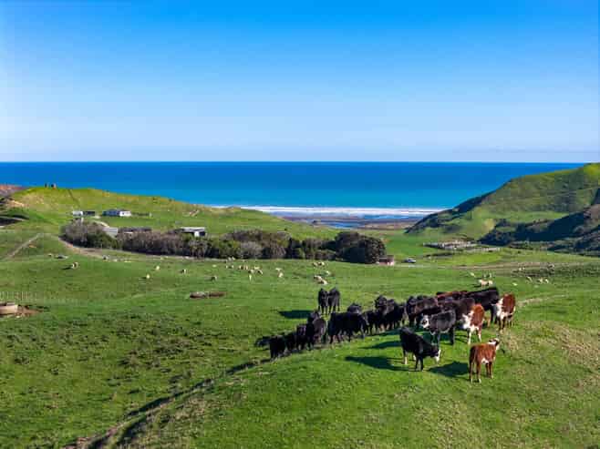 767 Te Akau Coast Road, Te Akau