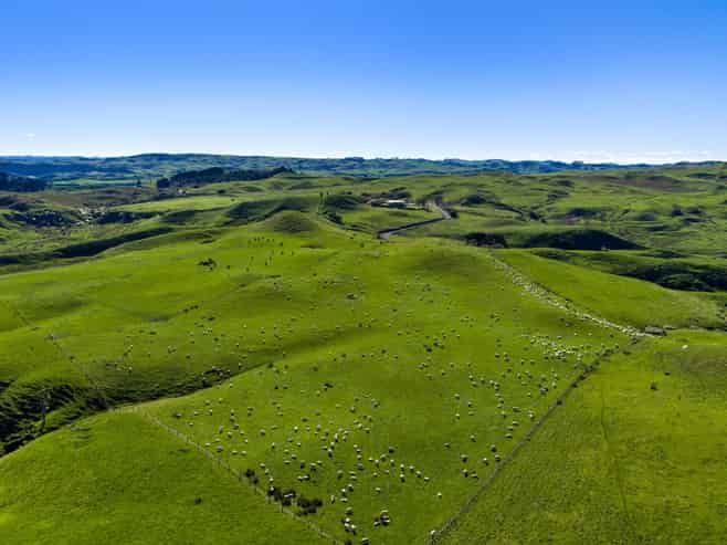 767 Te Akau Coast Road, Te Akau