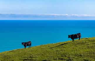 767 Te Akau Coast Road, Te Akau