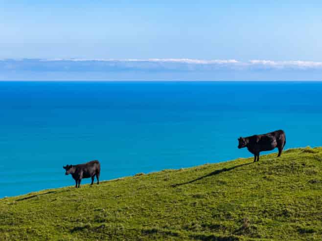 767 Te Akau Coast Road, Te Akau