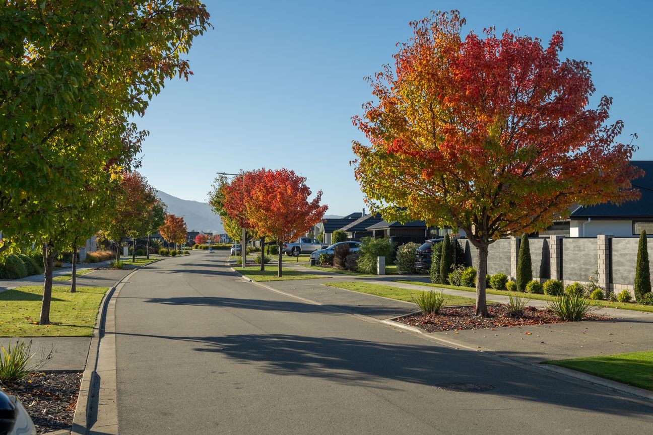 Built Just For You In Rose Manor – pohled 3
