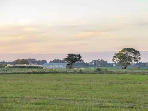 Lot 3,4,5,6,  Kaimatarau Road, Rongotea