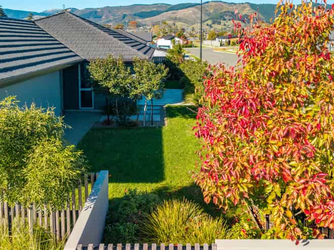 43 Camberley Road, Richmond