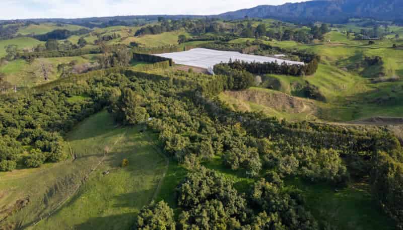 229 Walford Road, Katikati