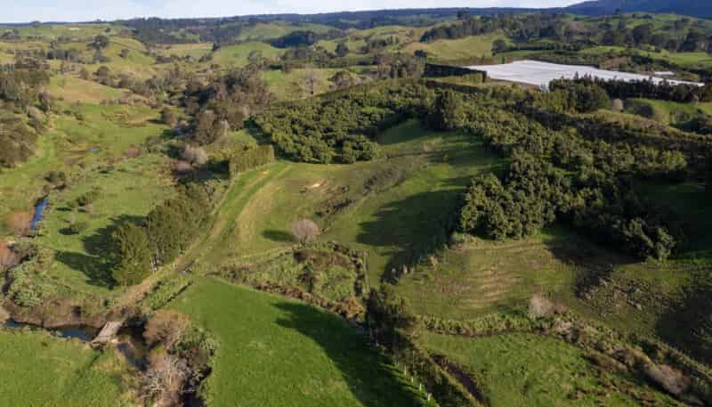 229 Walford Road, Katikati