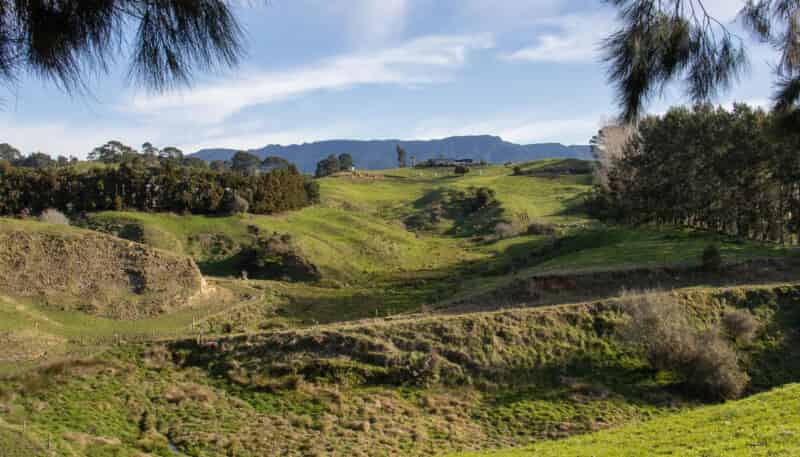 229 Walford Road, Katikati