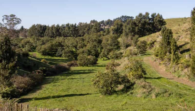 229 Walford Road, Katikati
