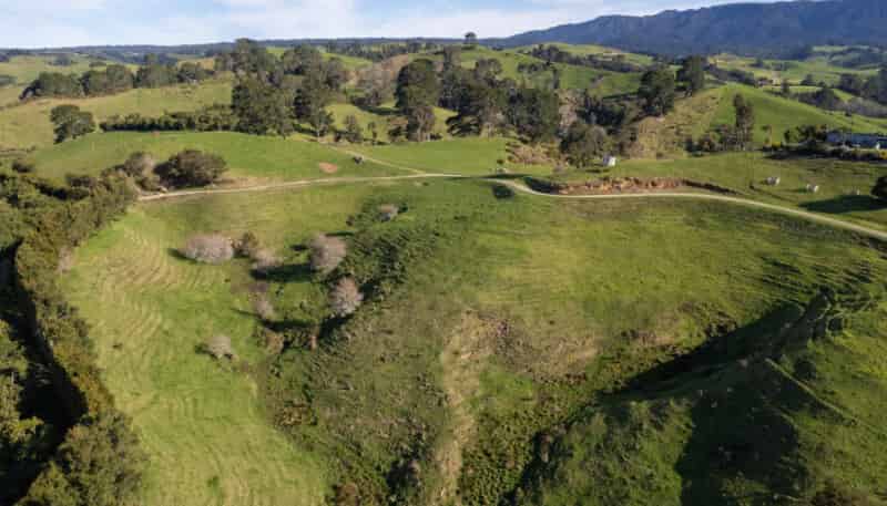 229 Walford Road, Katikati