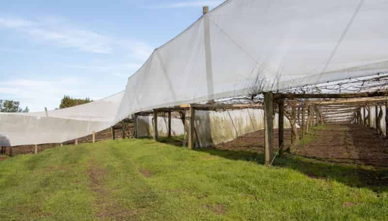 229 Walford Road, Katikati