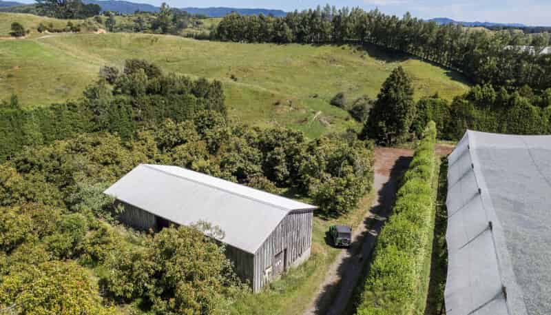 229 Walford Road, Katikati