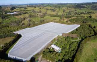 229 Walford Road, Katikati