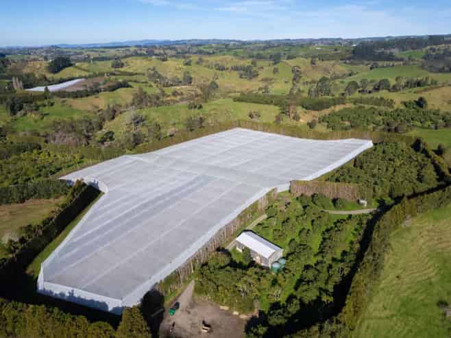 229 Walford Road, Katikati