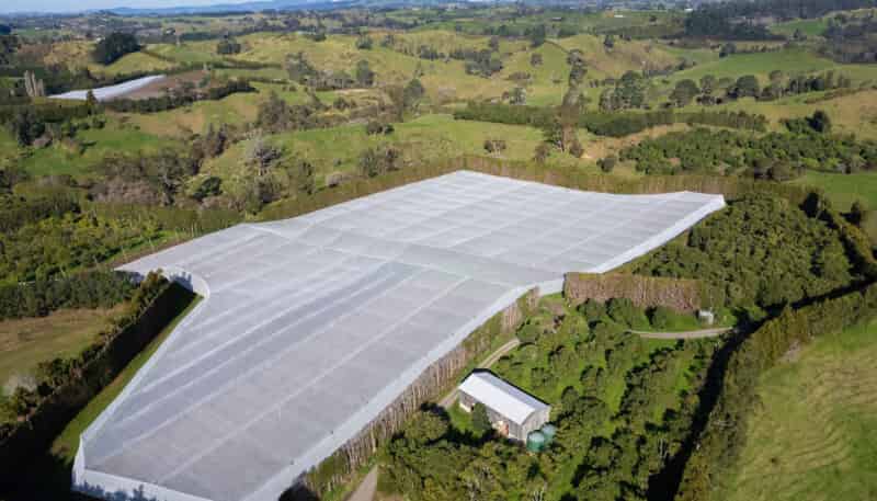 229 Walford Road, Katikati