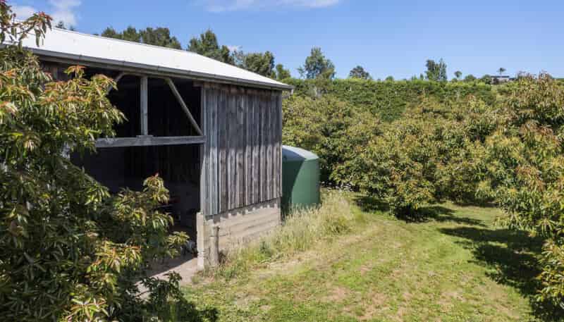 229 Walford Road, Katikati