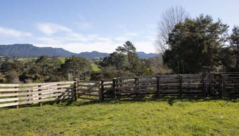229 Walford Road, Katikati