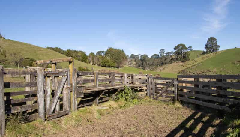 229 Walford Road, Katikati