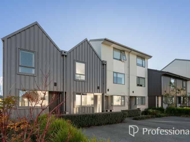 3 Te Ara O Te Amo Hohipene, Petone