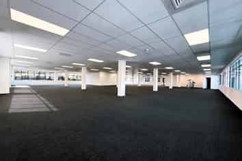 Modern Manukau Office | 1386 m2