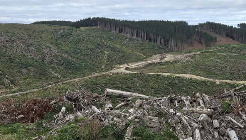  Broad Gully Road, Ikawai