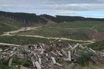  Broad Gully Road, Ikawai