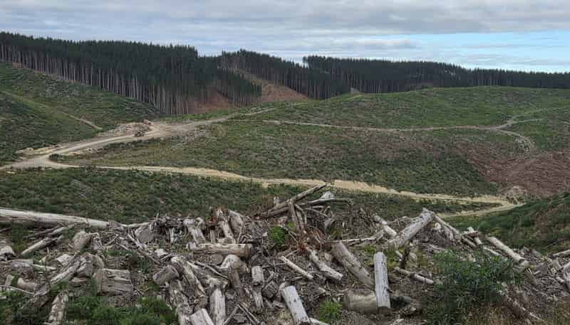  Broad Gully Road, Ikawai