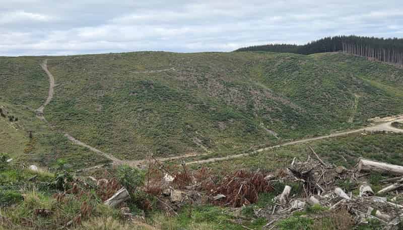  Broad Gully Road, Ikawai