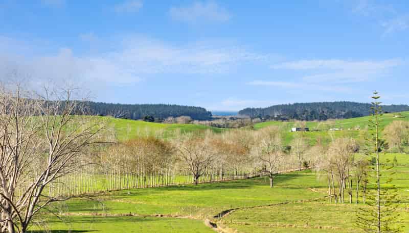 1500 Mangawhai Road, Te Arai
