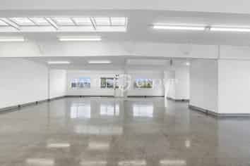 VERSATILE ONEHUNGA OFFICE/SHOWROOM SPACE