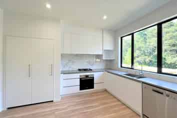 19 Dishys Road, Flat Bush