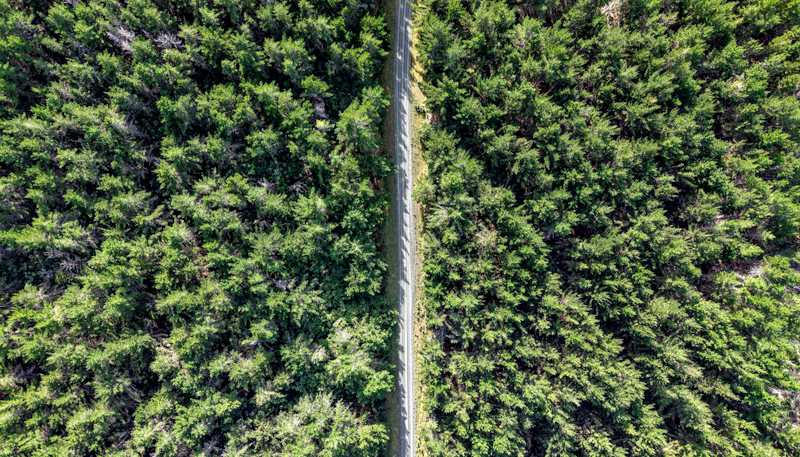  State Highway 1, Waitiki Landing, Te Kao