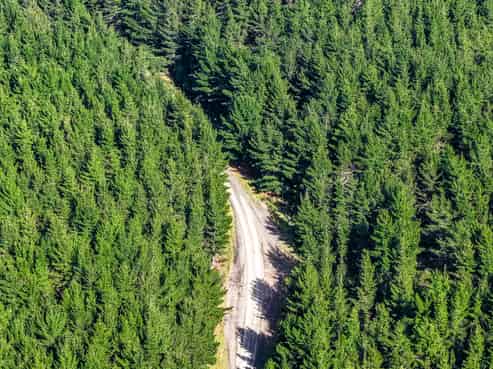  State Highway 1, Waitiki Landing, Te Kao