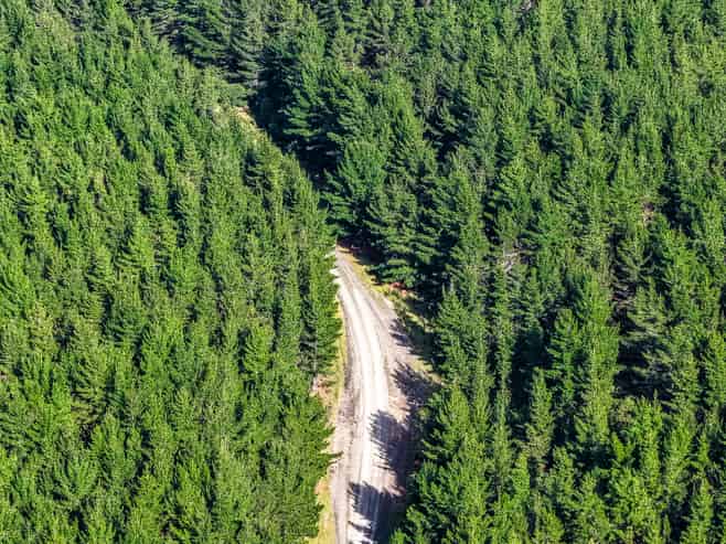  State Highway 1, Waitiki Landing, Te Kao
