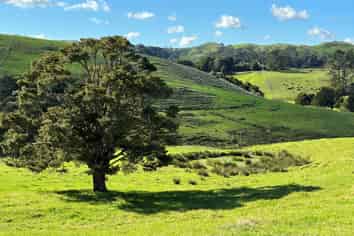  Paparoa Road, Mangapai