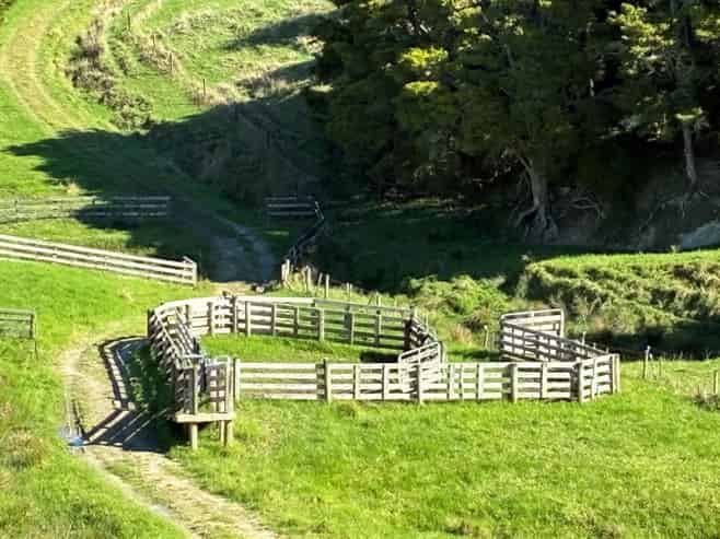  Paparoa Road, Mangapai