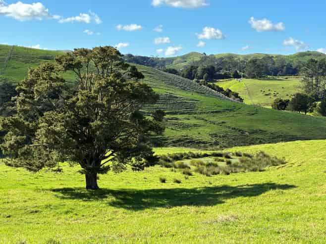  Paparoa Road, Mangapai